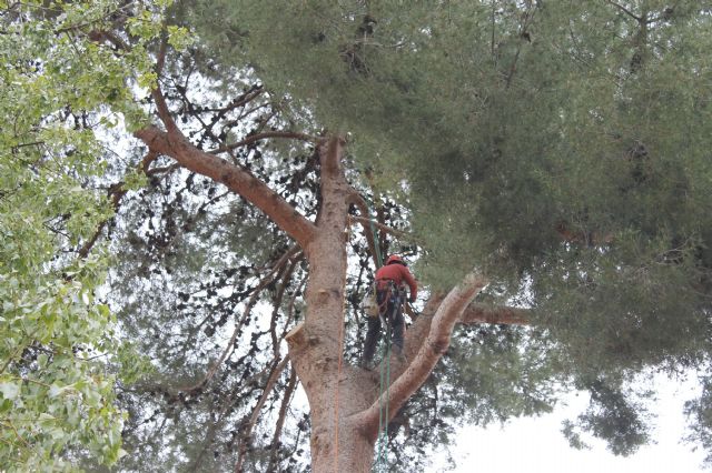 Servicios inicia las obras de remodelación de las escaleras del Rey Don Pedro