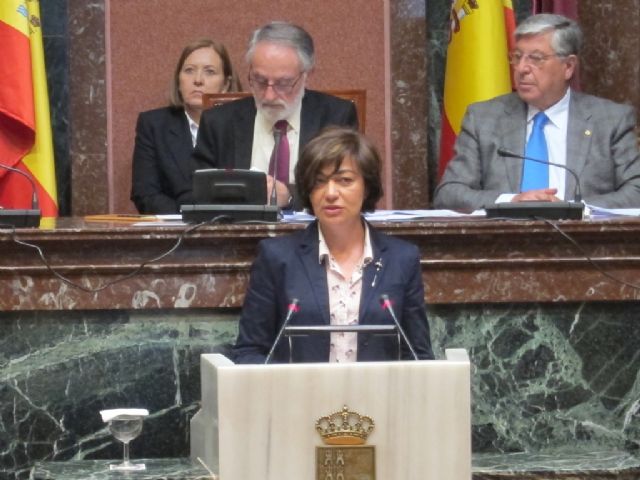 El GPP logra el apoyo de toda la Cámara a la solicitud de declaración de Fiesta de Interés Turístico Nacional a la Vendimia de Jumilla