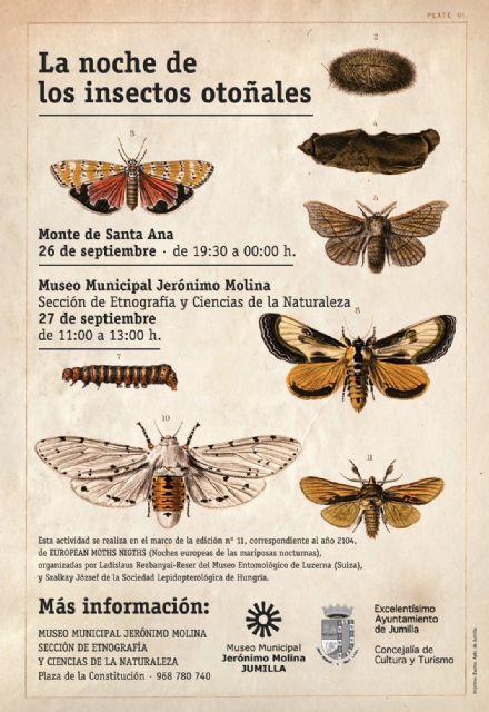 El Museo Municipal de Ciencias de la Naturaleza participa en una iniciativa europea con la actividad 'La noche de los insectos 2014'