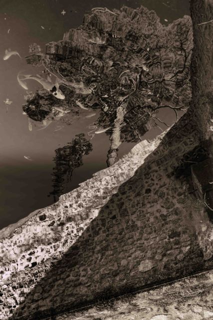 Eduardo Gea se hace con el primer premio de la maratón fotográfica 'Monumenta Jumilla' 2014