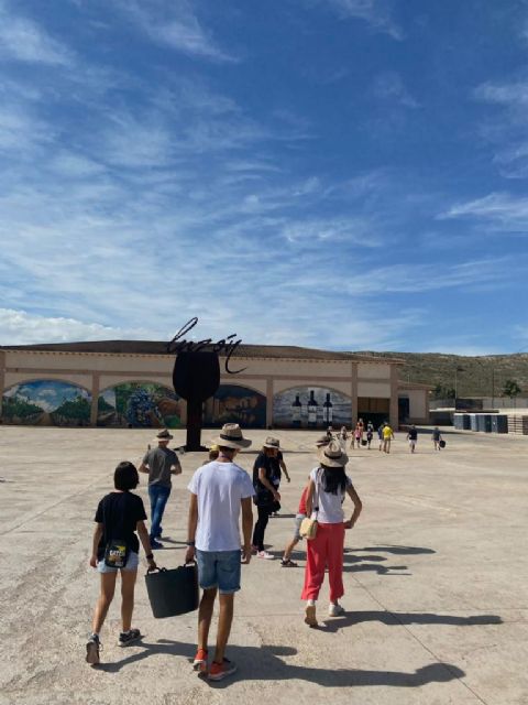 BODEGAS LUZÓN arranca la XIV edición de ‘Vendimia Abierta’