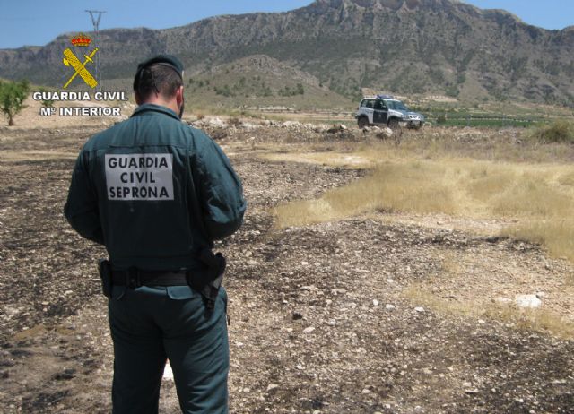 La Guardia Civil investiga a dos jóvenes por un incendio forestal