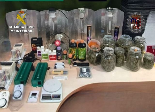 Desmantelan un punto de cultivo y elaboración de marihuana en una casa cueva