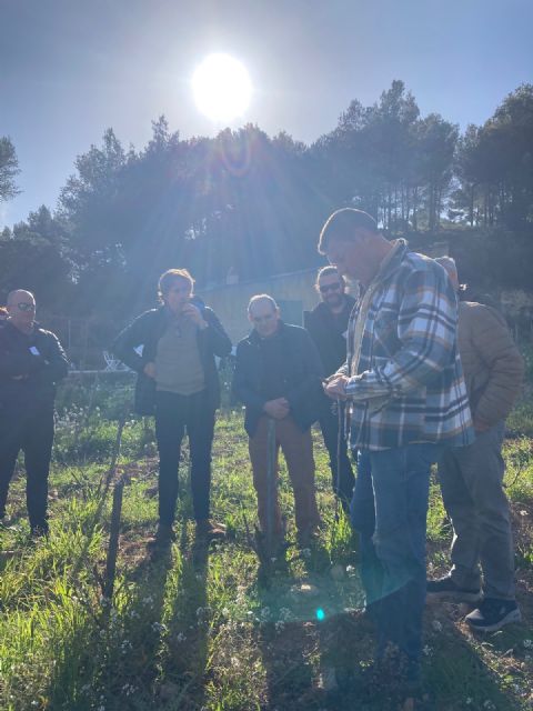 La DOP Jumilla realiza un intercambio técnico con AOC Bandol