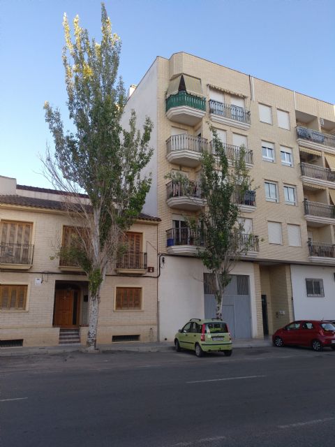 IU VERDES apostaría por otro tipo de obras en estos momentos y no por la Avenida de la Asunción