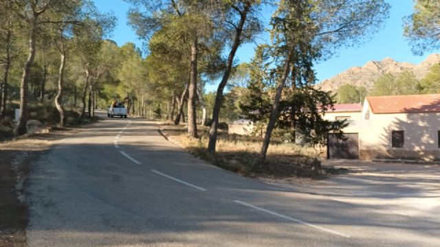 Comienza la campaña contra la procesionaria del pino en Jumilla