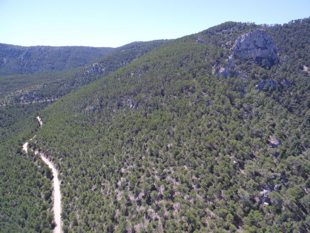 Finaliza el estudio de afecciones al dominio público de los montes de Jumilla