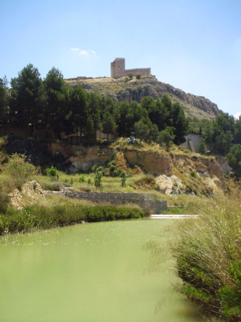 Aprobado acondicionamiento del humedal del Charco del Zorro