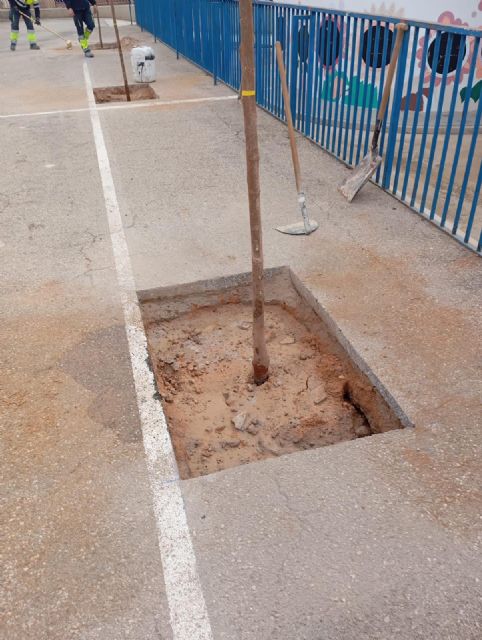 El Ayuntamiento de Jumilla inicia el Plan Sombra para naturalizar los patios escolares