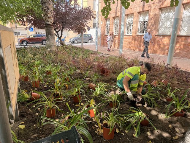 Jumilla avanza hacia un modelo de jardines y zonas verdes más sostenible y adaptado al clima para ahorrar agua