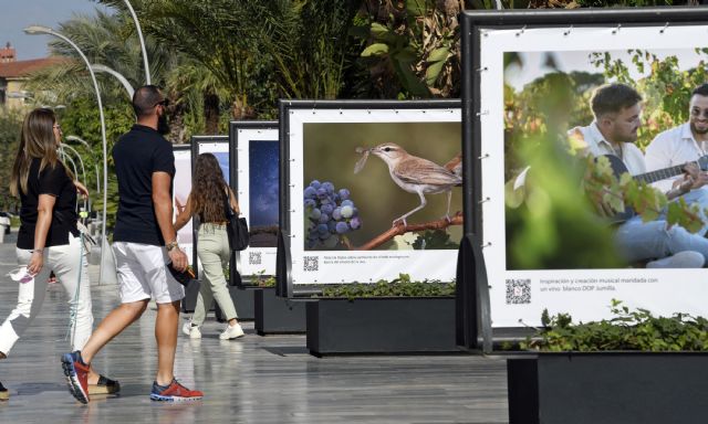 Exposición de fotografías 'Jumilla El Equilibrio Perfecto' en la Avenida Libertad de Murcia
