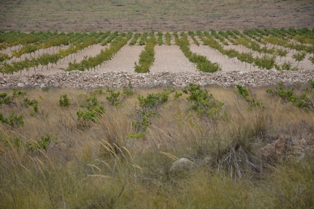 El Ayuntamiento actualiza el inventario de aprovechamientos agrícolas en montes públicos