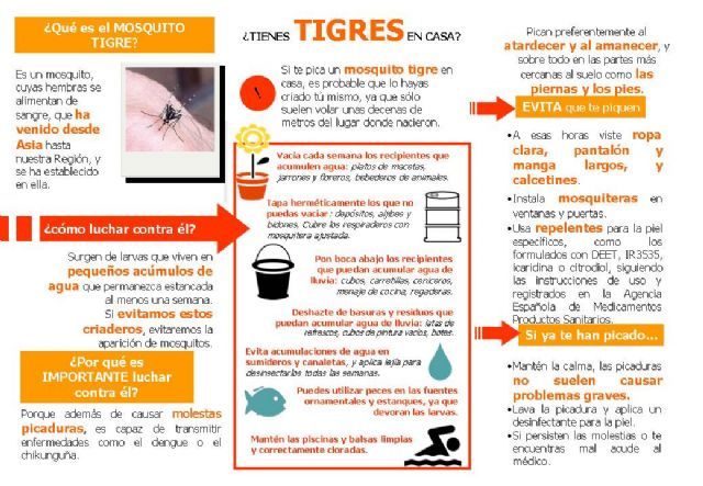 La Concejalía de Salubridad recuerda las medidas para evitar la expansión del mosquito tigre