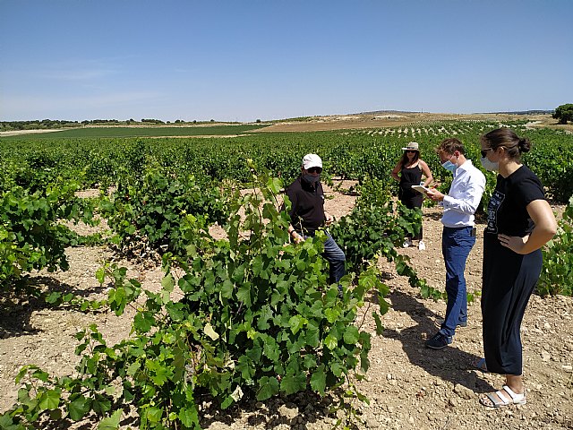 El Master of Wine Patrick Schmitt visita la DOP Jumilla