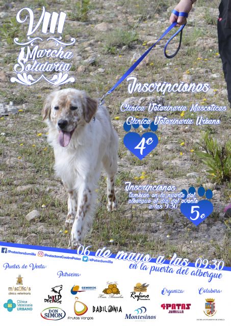 La 8ª Marcha Solidaria subirá al Castillo con los perros abandonados del Albergue Municipal
