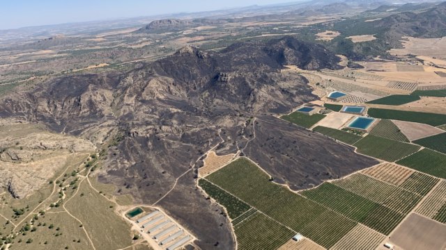 La dirección de la extinción da por 'EXTINGUIDO' el incendio forestal declarado en el paraje de la Patoja en Jumilla