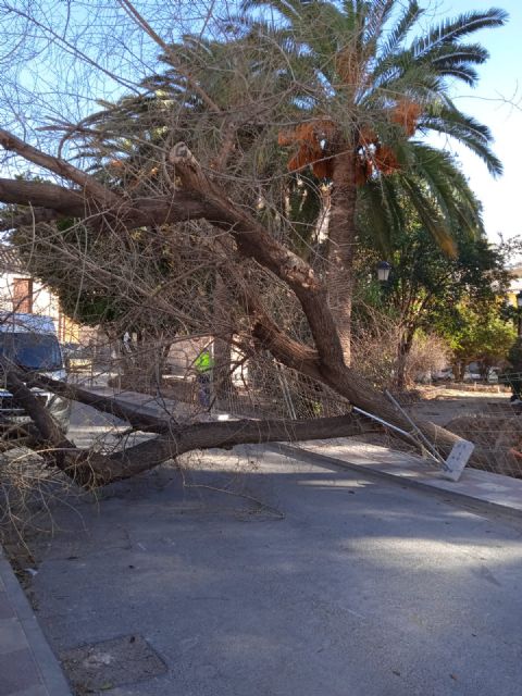 El viento vuelca dos árboles, rompe ramas y provoca desprendimientos de tejas en viviendas