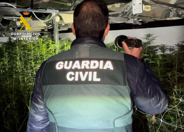 La Guardia Civil desmantela en Jumilla un invernadero con mil plantas de marihuana